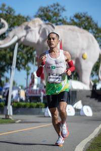 BIB: 
                            <button type="button" onclick="openModal(26542067)" class="btn btn-primary btn-sm float-right btn-popup" data-toggle="modal" data-target=".modal-high-quality">
                        <i class="fas fa-shopping-cart"></i> Add to Cart
                    </button>
                                            <button type="button" onclick="isThisMe(26542067, true)" class="btn btn-success btn-sm float-right btn-popup btn-isme hidden" data-toggle="tooltip" data-placement="bottom" title="นี่คือรูปของคุณใช่ไหม คลิกที่นี่เพื่อเอาเข้าอัลบั้ม">
                        <i class="fas fa-plus"></i> Add to album
                    </button>
                    <button type="button" onclick="isThisMe(26542067, false)" class="btn btn-warning btn-sm float-right btn-popup btn-isnotme hidden">
                        <i class="fas fa-ban"></i> Remove from album
                    </button>